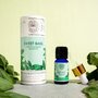 Basil oil